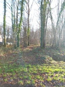 Terrain à vendre de 2 370,00 m² SAINT HILAIRE LES ANDRESIS (45)