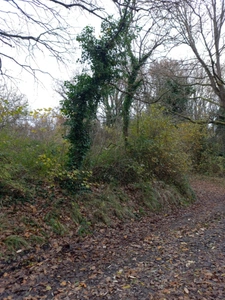 Terrain de Loisir à vendre de 230,95 m² FERICY (77)