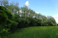 Terrain à vendre de 625,00 m² Proche de COURTEMAUX (45)