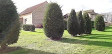BEL ENSEMBLE MAISON & DEPENDANCES - 86500 - MONTMORILLON