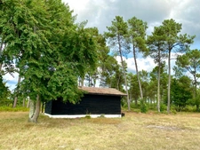 Grand domaine authentique (gros potentiel locatif) de 11HA à Escource avec piscine, 3 maisons et dépendances à 15 minutes des plages 
