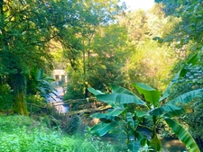 Magnifique Moulin rénové en totalité (DPE D) avec gîte indépendant sur terrain de 4HA arboré sans vis à vis BOUGUE (40)