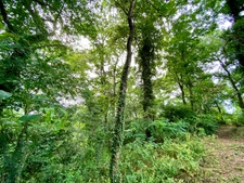 CENTRE DE SAINT PIERRE DU MONT - MAISON DE CARACTERE DE TYPE 4 SUR TERRAIN DIVISIBLE 6600 M2 (2 LOTS) 