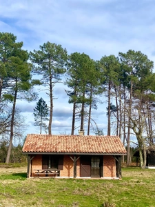 Grand domaine authentique (gros potentiel locatif) de 11HA à Escource avec piscine, 3 maisons et dépendances à 15 minutes des plages 