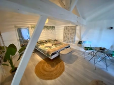 2 Appartements duplex T3 de 71M2 et 55M2 totalement rénovés (dont un avec terrasse) à vendre centre historique de SAINT SEVER (40)