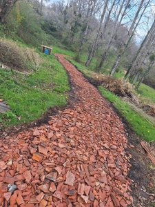 Domaine plein de charme de 250M2 avec dépendances et gîte dans un écrin de verdure Proche de MONT DE MARSAN au HOUGA