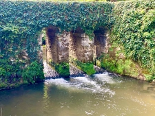 Magnifique Moulin rénové en totalité (DPE D) avec gîte indépendant sur terrain de 3,5HA arboré sans vis à vis BOUGUE (40)