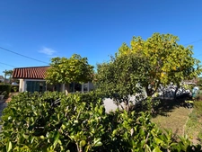 Maison de plain pied de 5 pièces de 136M2 (idéal activité professionnelle) proche des commodités MONT DE MARSAN (40)