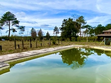 Grand domaine authentique (gros potentiel locatif) de 11HA à Escource avec piscine, 3 maisons et dépendances à 15 minutes des plages 