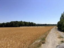 MERIEL 95 - 980m² de terrain plat devant réserve naturelle avec permis