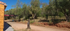 Exclusivité Maison à Ossature Bois D'environ 86 m2 , 3 pièces à LE CANNET DES MAURES (83340)
