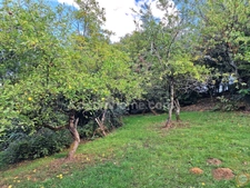 Terrain à vendre de 794 m² LINAS (91)