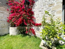 MAISON INTRA-MUROS AVEC PATIO ET PISCINE 
