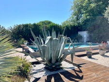 Coup de cœur en Camargue – Mas individuel rénové avec jardin paysager & piscine sans vis-à-vis