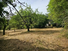 Terrain à vendre de 839,00 m² PANISSIERES (42)