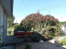 Saint-Aigulin (17360) Maison rénovée 145 m² – 3/4 chambres – Grand terrain arboré 2 181 m² 