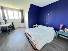 Maison à vendre 8 pièces 270m2