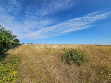 Terrain à vendre de 4 857,00 m² AUNAC (16)