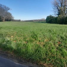 Terrain plat 1980 m² à la campagne – cadre calme – mandat exclusif - SAINT SORNIN (16)