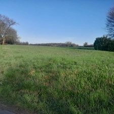 Terrain plat 1980 m² à la campagne – cadre calme – mandat exclusif - SAINT SORNIN (16)
