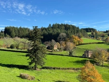 House for sale, 7 rooms, near CHAUFFAILLES (71), 216m² - 5 bedrooms - outbuildings - 1495m² plot