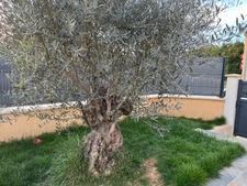 Maison à vendre 5 pièces proche de MONTELIMAR (26)