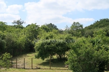 Maison au Cœur de la Nature et du Calme