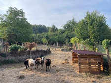 Maison en pierre de 82 m2 à finir de rénover et jardin de 620m2