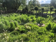 Maison en pierre de 82 m2 à finir de rénover et jardin de 620m2