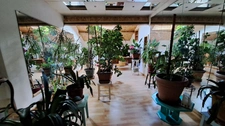 Maison à vendre 7 pièces JUSSEY (70)