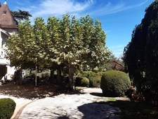 Propriete à vendre 12 pièces CAHORS (46)