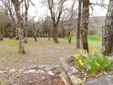 Maison à vendre 6 pièces FLAUJAC POUJOLS (46)