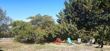 Maison à vendre 8 pièces BACH (46)