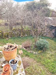 Maison à vendre 3 pièces LIMOGNE EN QUERCY (46)