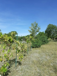 Maison Quercy