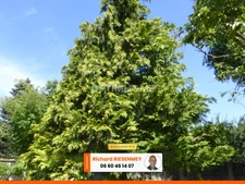 Terrain constructible 461m² Ollainville près Arpajon