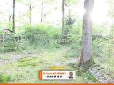 Chalet 45m² en camping à SAINT CHERON (91)