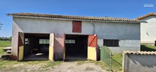 Maison avec grands volumes et fort potentiel sur Grièges – Terrain de plus de 4 000 m²