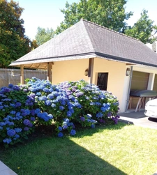 House for sale 6 rooms COMBRIT (29)