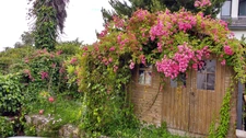 Immeuble à vendre BENODET (29) un commerce et deux appartements jardin