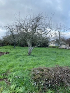 Terrain constructible, à vendre, de 1 102,00 m² DIGNAC (16)