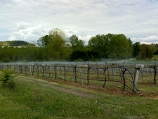  Superbe propriété de 44 hectares, prête à être exploitée, avec belle maison, prête à habiter, au calme, avec vues, aux portes de la dordogne  
