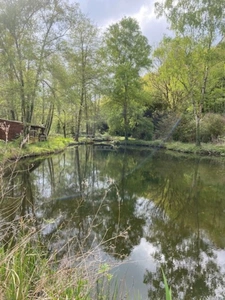 Terrain de loisirs, arboré, avec étang, poissonneux, au coeur de la campagne charentaise, sur la commune de TORSAC 