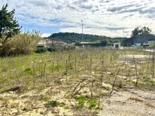 Terrain 813 m2 à Saint-Paul-Trois-Châteaux