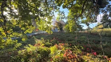 Terrain constructible de 1 265 m² à Saint-Priest-Taurion – Libre de constructeur