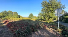 Terrain constructible de 1 265 m² à Saint-Priest-Taurion – Libre de constructeur