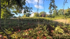 Terrain constructible de 1 265 m² à Saint-Priest-Taurion – Libre de constructeur