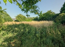 Maison de bourg en pierres à rénover 70 m2– Fort potentiel d'agrandissement 120 m2, terrain de 1 000 m² - SAINT OUEN LA ROUERIE (35)