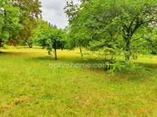 BEAUCHAMP (95) — TERRAIN ARBORÉ AU CALME