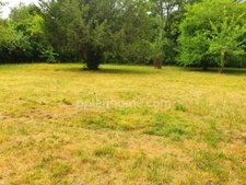 BEAUCHAMP (95) — TERRAIN ARBORÉ AU CALME